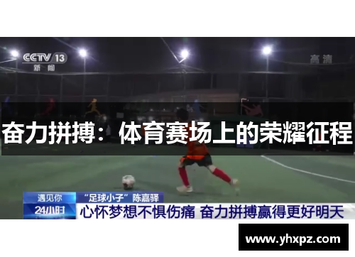 奋力拼搏：体育赛场上的荣耀征程