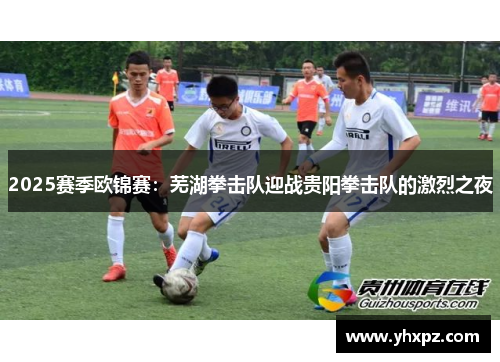2025赛季欧锦赛：芜湖拳击队迎战贵阳拳击队的激烈之夜
